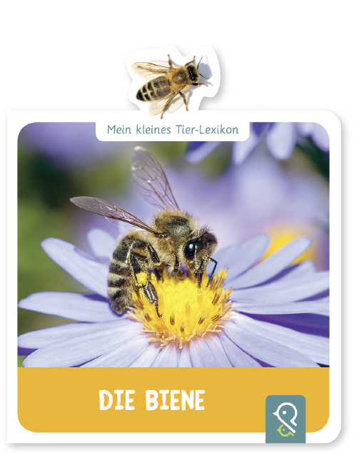 Kinderbücher über Bienen: Pappbilderbuch "Die Biene"